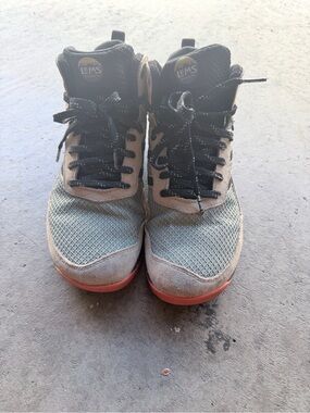 Lems Primal Pursuit Mid